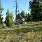 DSCF0629