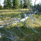 DSCF0630