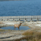 DSCF0631