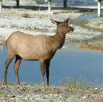 DSCF0632