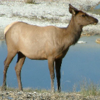 DSCF0633