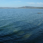 DSCF0639