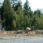 DSCF0643