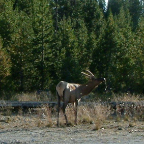 DSCF0644