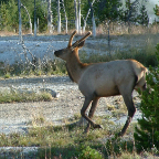 DSCF0646