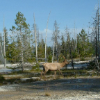 DSCF0650