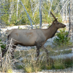 DSCF0651