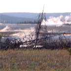 DSCF0674