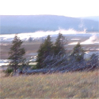 DSCF0675