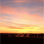 DSCF0678
