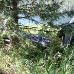 DSCF0685
