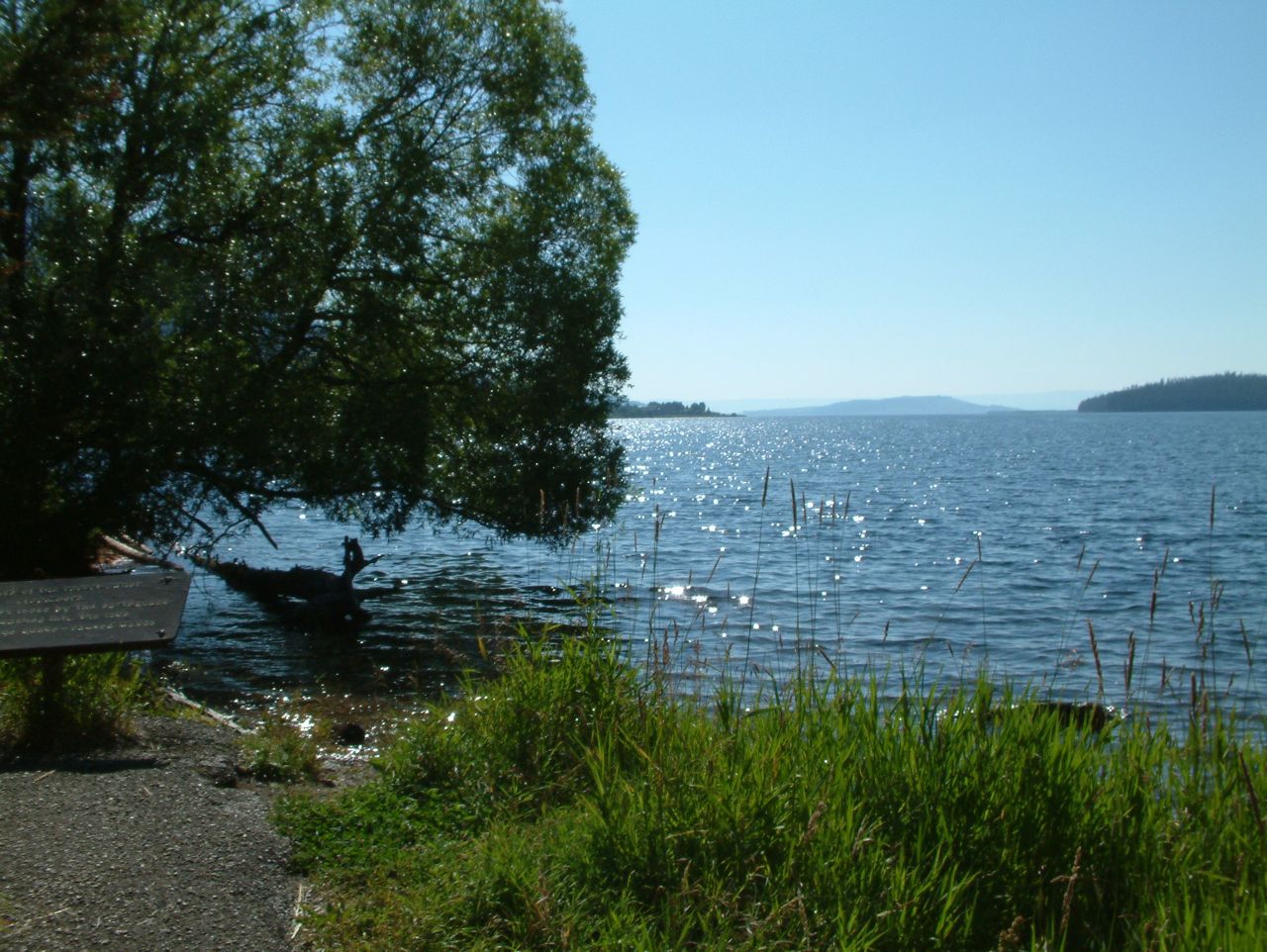 Loading Image