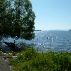 DSCF0686