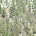 DSCF0691