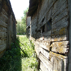 DSCF0704