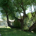 DSCF0766