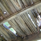 DSCF0767