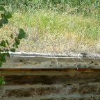 DSCF0825