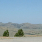 DSCF0834