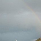 DSCF0836