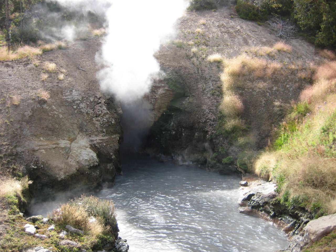 Loading Image