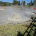 IMG_1454