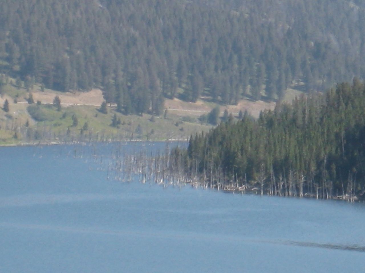 Loading Image