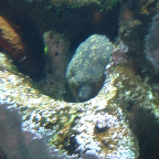 DSCF0017