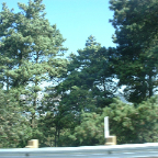 DSCF0177
