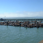 DSCF0206