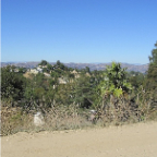 LA 2011  014