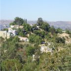 LA 2011  016