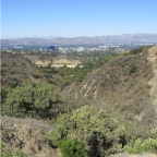 LA 2011  017
