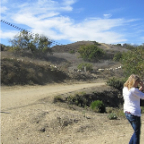 LA 2011  019