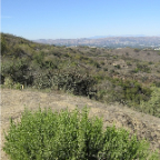 LA 2011  020