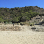 LA 2011  021