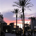 LA 2011  022