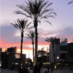 LA 2011  023