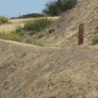 LA 2011  035