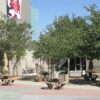LA 2011  037