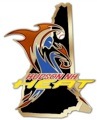 Pasted Graphic 1