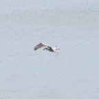 FloridaBeach 2012 008