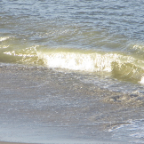 FloridaBeach 2012 013
