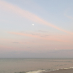 FloridaBeach 2012 018