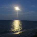 FloridaBeach 2012 025