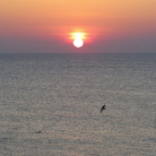 FloridaBeach 2012 035