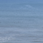 FloridaBeach 2012 036