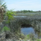 FloridaBeach 2012 037