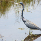 FloridaBeach 2012 044
