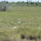 FloridaBeach 2012 045